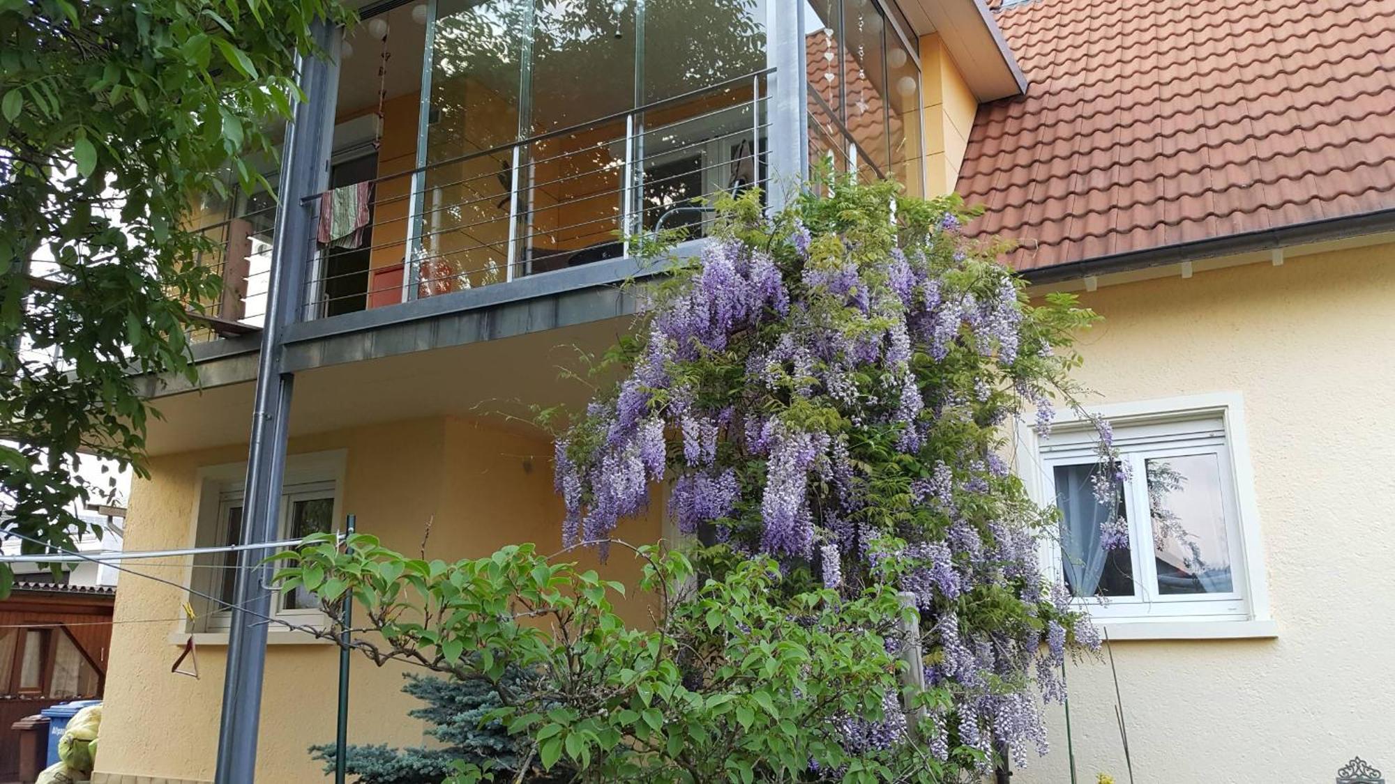 Ferienwohnung Miezerle Steisslingen Екстериор снимка